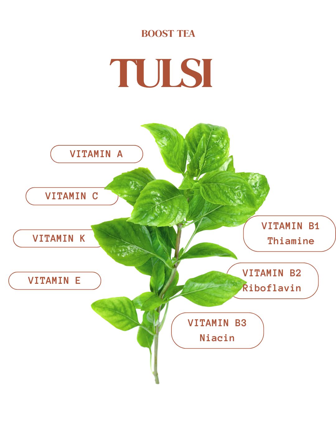Boost Ayurvedic Herbal Tea