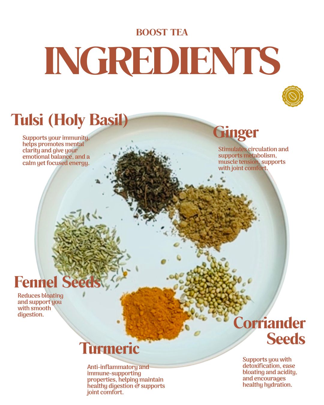 Boost Ayurvedic Herbal Tea